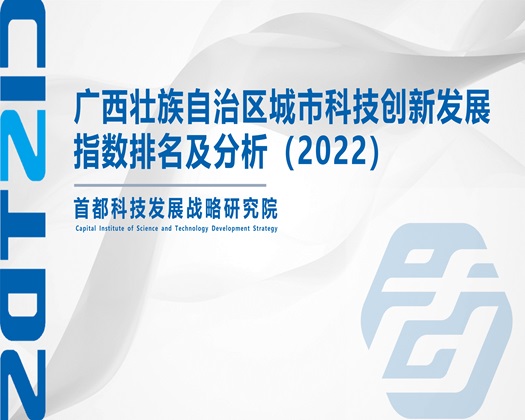 骚逼被狂操视频【成果发布】广西壮族自治区城市科技创新发展指数排名及分析（2022）